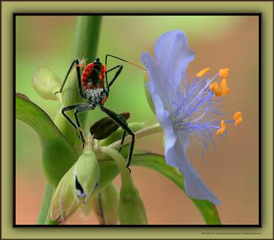 Are You In Love