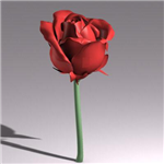 R U Missing Ur #@$