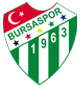 Bursa Spor