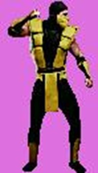 What Mortal Kombat Ninja Are You?