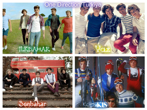 Gerçekten Directionermisin