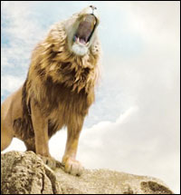 What Narnia principal character are you ?