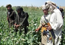 taliban