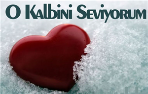 Seni Seviyo Mu