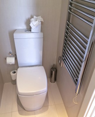 Skibidi Toilet
