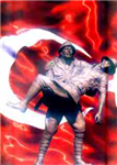 Akp Falı