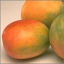 What Fruit Are You???
