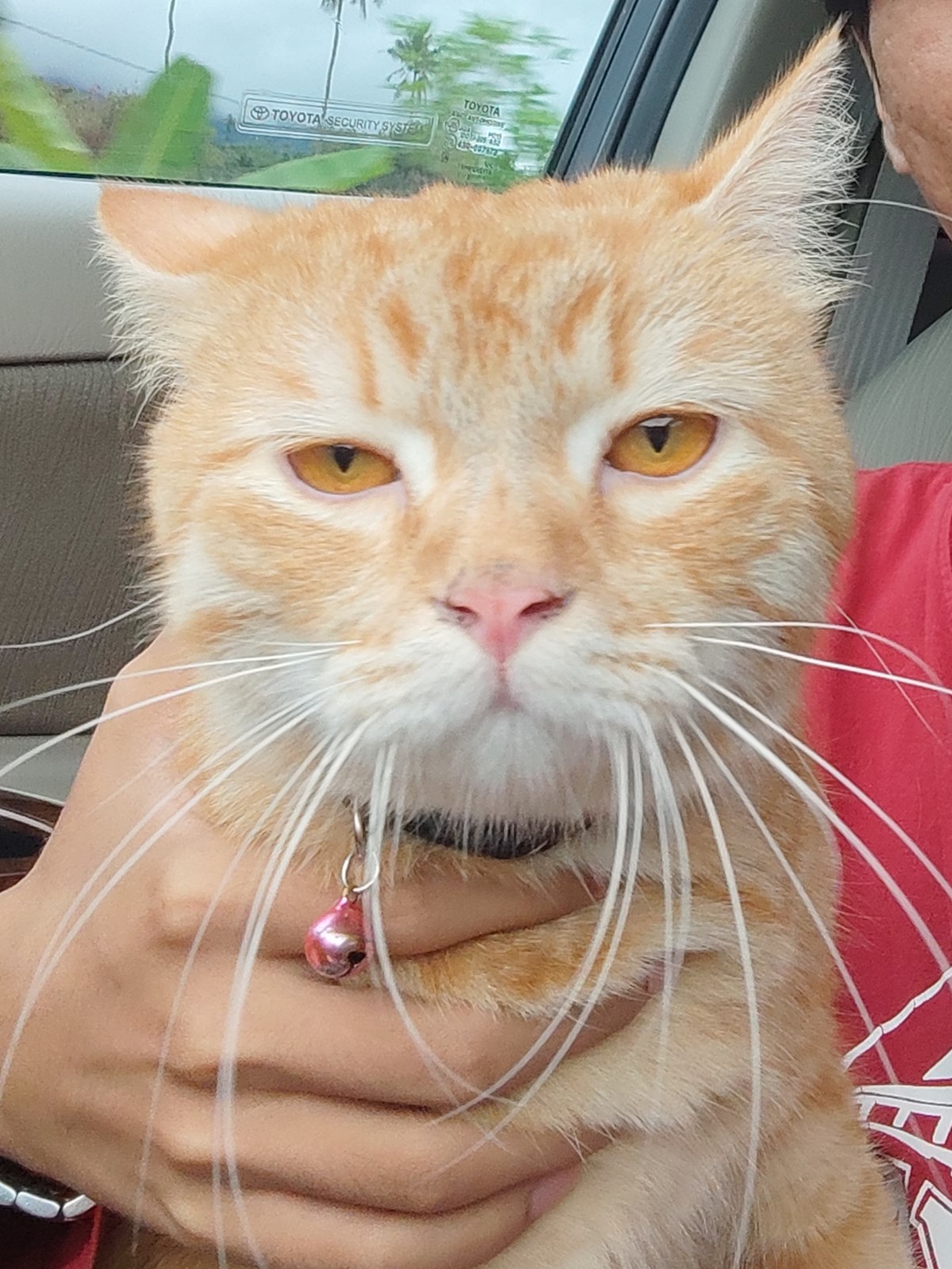 Seberapa Cantik Anda