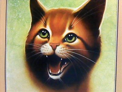 Which Warrior Cat Are You??