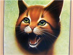 Which Warrior Cat Are You??