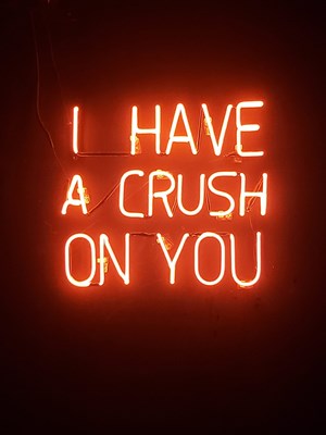 Seberapa Kamu Suka Sama Crush Mu