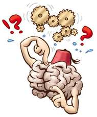 pretty good brain