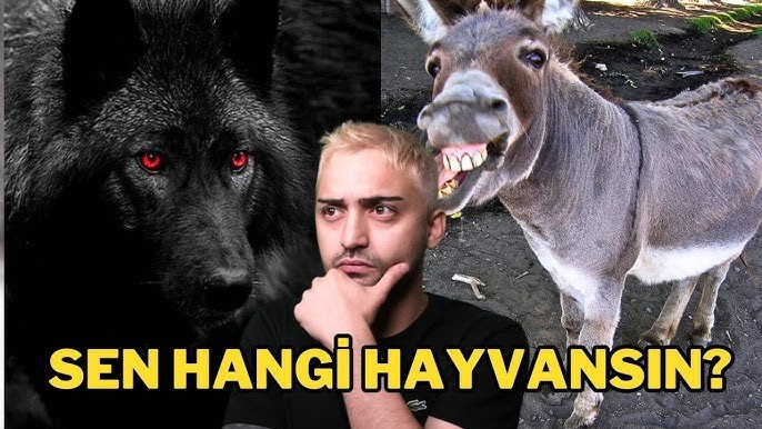 Hangi Hayvansın?