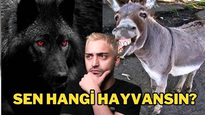 Hangi Hayvansın?