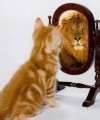 Selfish