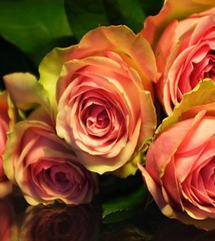 ╔════════════ ೋღ❤ღೋ ═══════════╗ ◊~GÜNÜNÜZ AYDINLIK-HUZUR-NEŞE DOLU OLSUN ~◊ ╚════════════ ೋღ❤ღೋ ═══════════╝