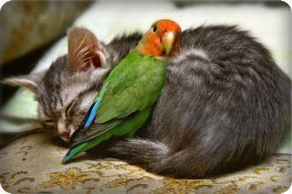 ♥♥(¯`*•.¸HAYIRLI GÜNLER ♥♥(¯`*•.¸♥♥♥♥ ☼♥/)_♥MUTLU NEŞELİ SABAHLAR DİLİYORUM ♥♥(¯`*•.¸* ________☼♥/)_♥☼♥_____☼♥./¯\"\"\"/') ¯¯¯¯¯¯¯¯¯\\)☼♥¯♥☼♥¯¯¯¯☼♥'\\_„„„„\\). ✰✰✰✰✰✰✰✰✰✰✰✰✰✰✰✰✰✰✰✰ — GÜNAYDIN ♥ MUTLU NEŞELİ GÜNLER DİLİYORUM ♥♥(¯`*•.¸ ________☼♥_____☼♥./¯\"\"\"/') ¯¯¯¯¯¯¯¯¯\\)☼♥¯♥☼♥¯¯¯¯☼♥'\\_„„„„\\). ✰✰✰✰✰✰✰✰✰✰✰✰✰✰✰✰✰✰✰✰....  _______☼♥/)_♥☼♥_____☼♥./¯\"\"\" /')  ¯¯¯¯¯¯¯¯¯\\)☼♥¯♥☼ ♥¯¯¯¯☼♥'\\_„„„„\\) HAYIRLI GÜNLER  ▒♥__/)______./¯\"\"\"/')♥♥ ▒♥¯¯¯¯\\)¯¯¯¯'\\_„„„„\\)♥♥ ஜ۩۞۩ஜ~ DOSTLAR BİRBİRİNİ ANIMSASIN ~ஜ۩۞۩ஜ\"