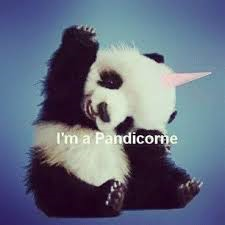 Es-Tu Plus Pandicorne Ou Panda ?