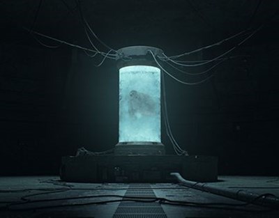 ¿Que experimento del laboratorio es ideal para tí?