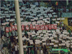 Bursa Spor 
