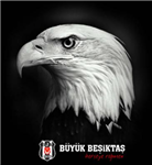 Hangi Takımın Taraftarısın..??