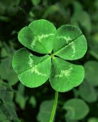 How Lucky Are You Today?