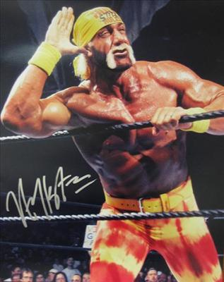 Wwe Legends