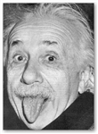 Scemo O Genio?