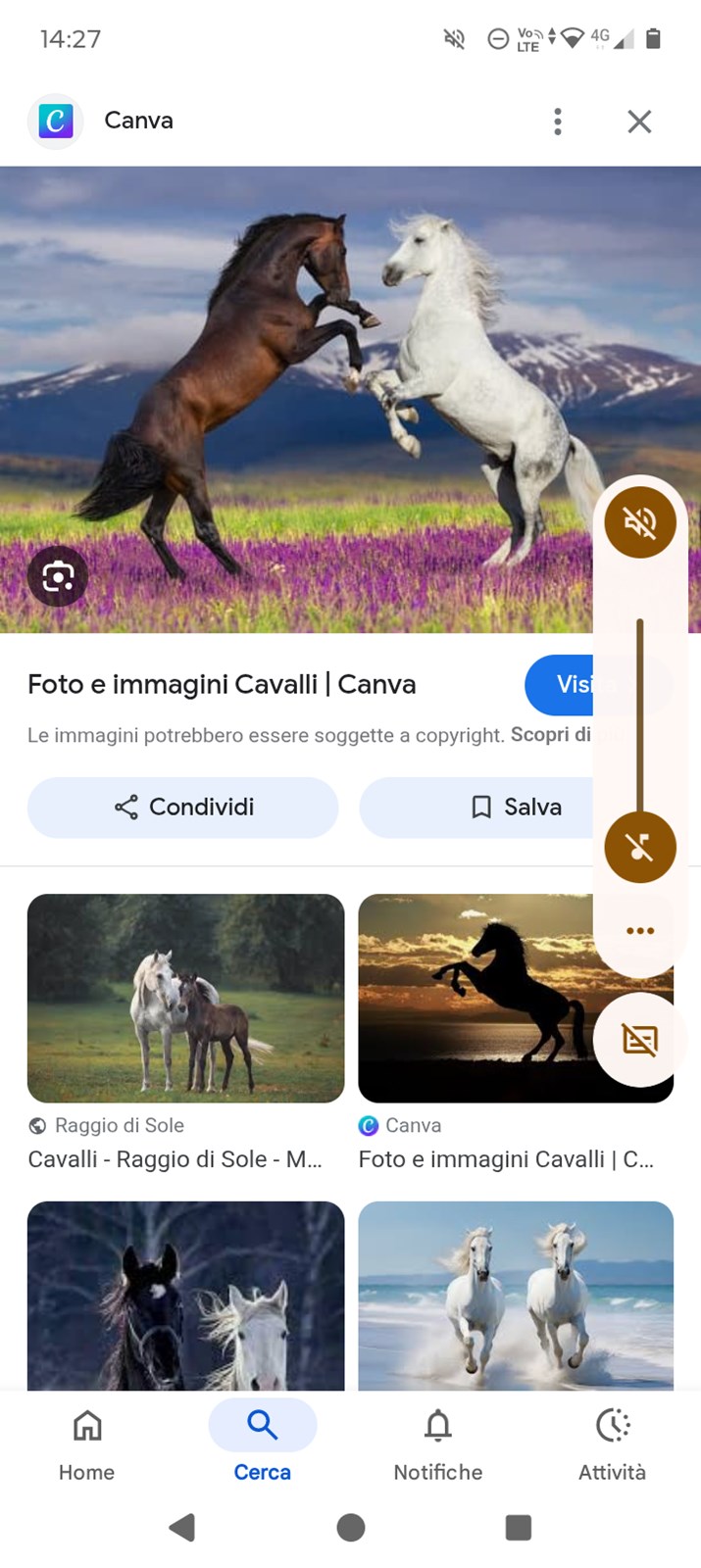 Quanto ne sai sull equitazione 