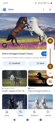 Quanto ne sai sull equitazione 