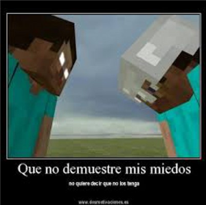 Cuanto De  Minecraft