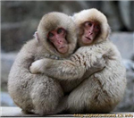Do You Love Animals?