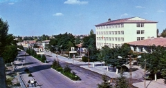 SARAYÖNÜ