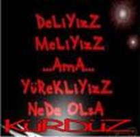 Kürt Açılımı