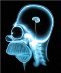 Máš Mozek Nebo Ne?