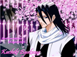 Shinigami Or Hollow ..?
