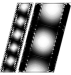 What Kind Of Movies Do You Like Most?