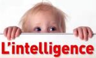 Est Tu Intelligent Ou Mongole 