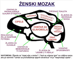Kako Ti Radi Mozak?