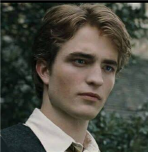 Harry Potter A Ne Kadar Hakimsin