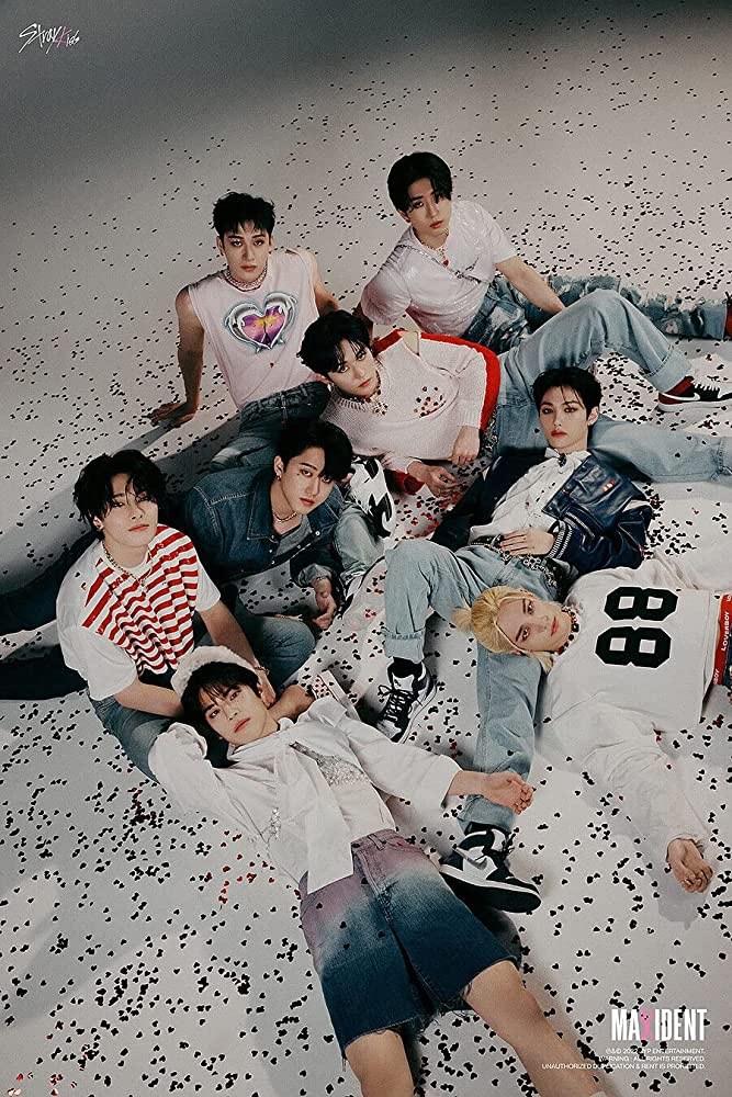 Hangi Stray Kids Üyesinin İdeal Tipisin?