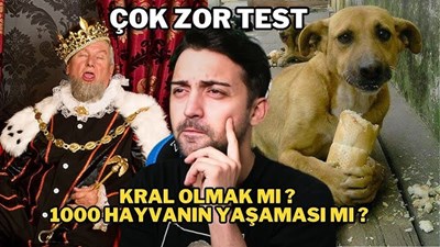 Hangi Hayvansın