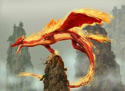 Tigre O Dragon