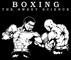 What Is The Best Boxing School Team?