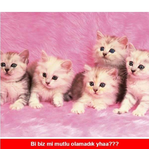 Kendini Seviyor Musun?