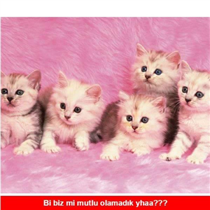 Kendini Seviyor Musun?
