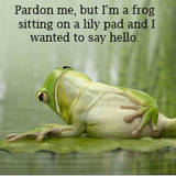 Lame Or Funny