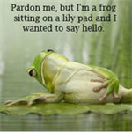 Lame Or Funny
