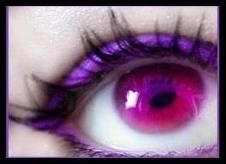 Que Dit Ton Regard ? 