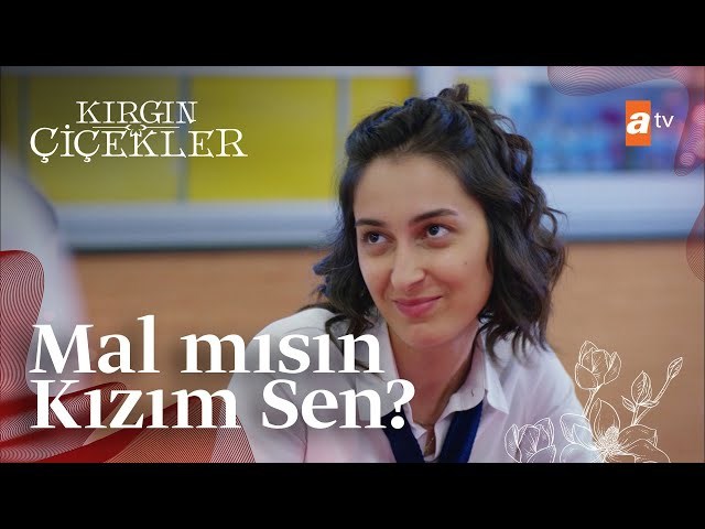 Mal mısın?